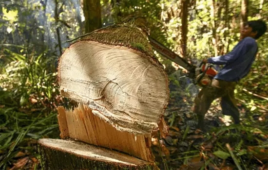 0.webp.jpg 0.webp.jpg