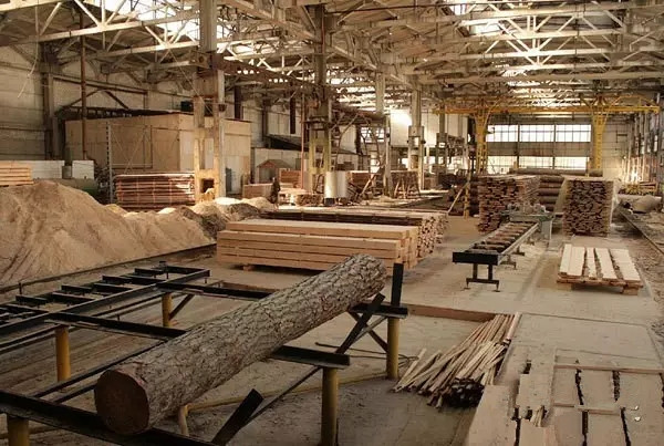 2.webp (2).jpg 2.webp (2).jpg